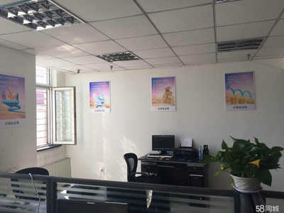 鼎金金服科技信息咨詢服務 數字化時代的專業財務導航